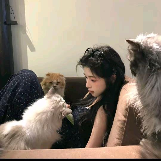 快乐✧٩(ˊωˋ*)و✧