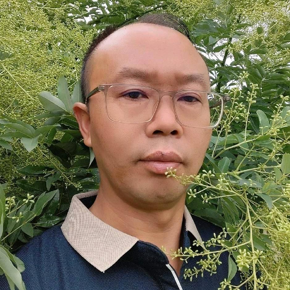 孤峰独秀