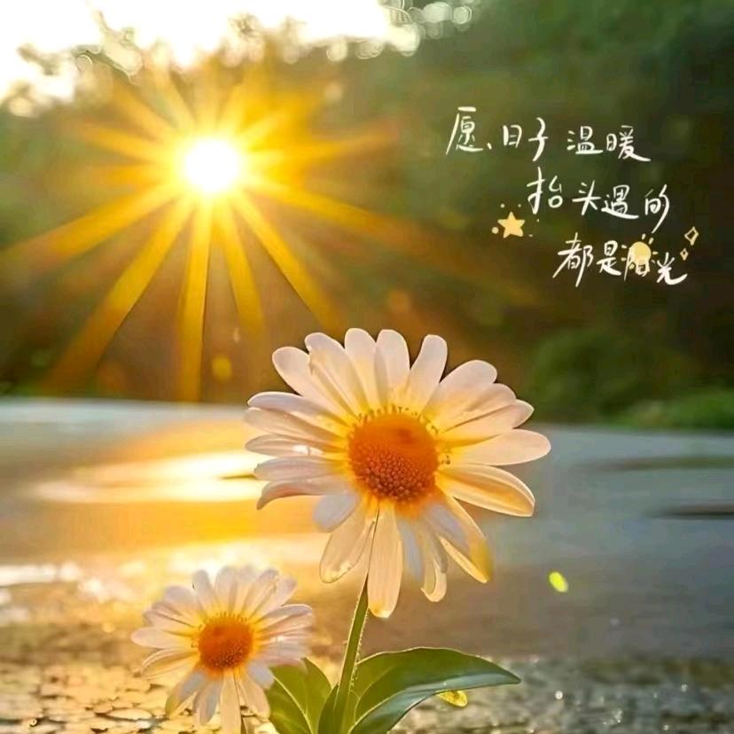 💕好运ᨶ႒ᩚ加满🍒