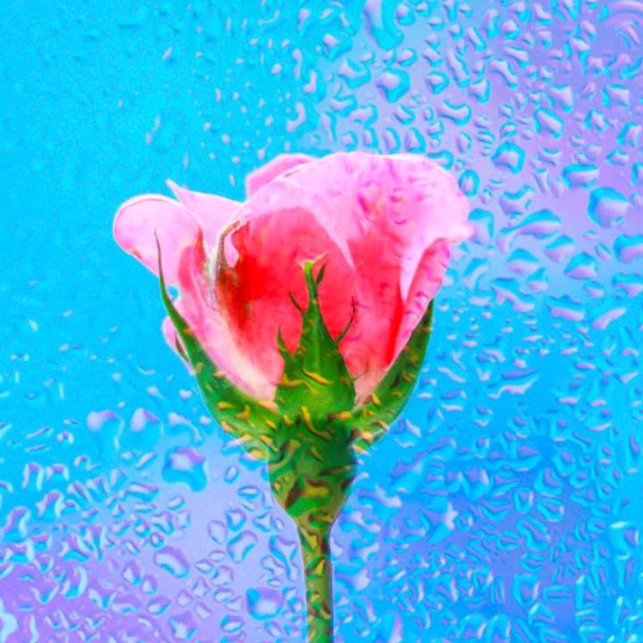 雨