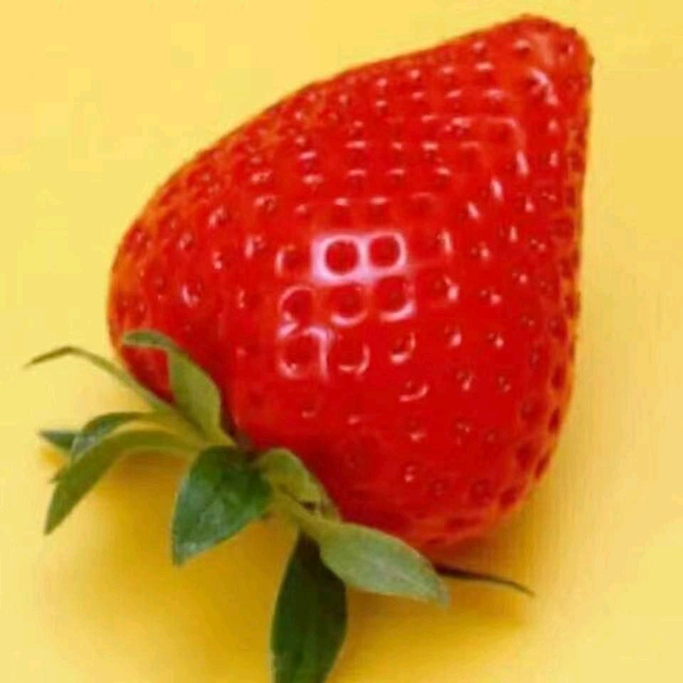 来生缘宝妈