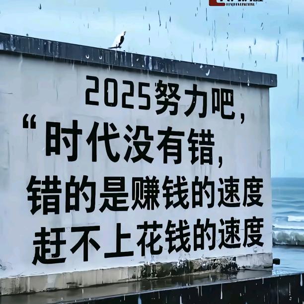 临窗听雨