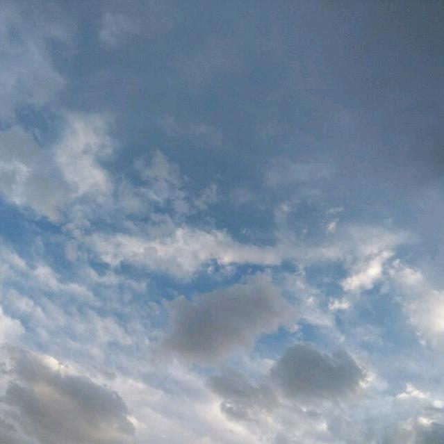 ᝰꫛ何必ꫀꪝ•伤心⚘