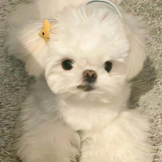 乐优