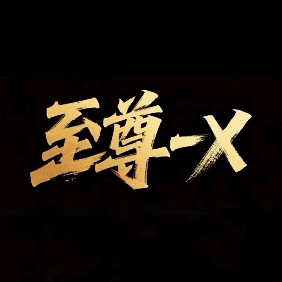 至尊X
