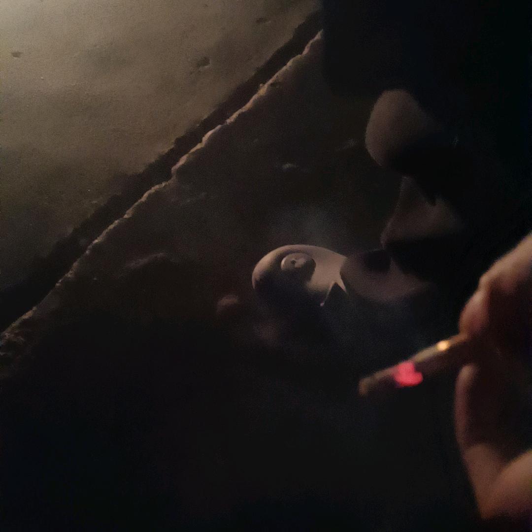 消失在迷人的夜色中i