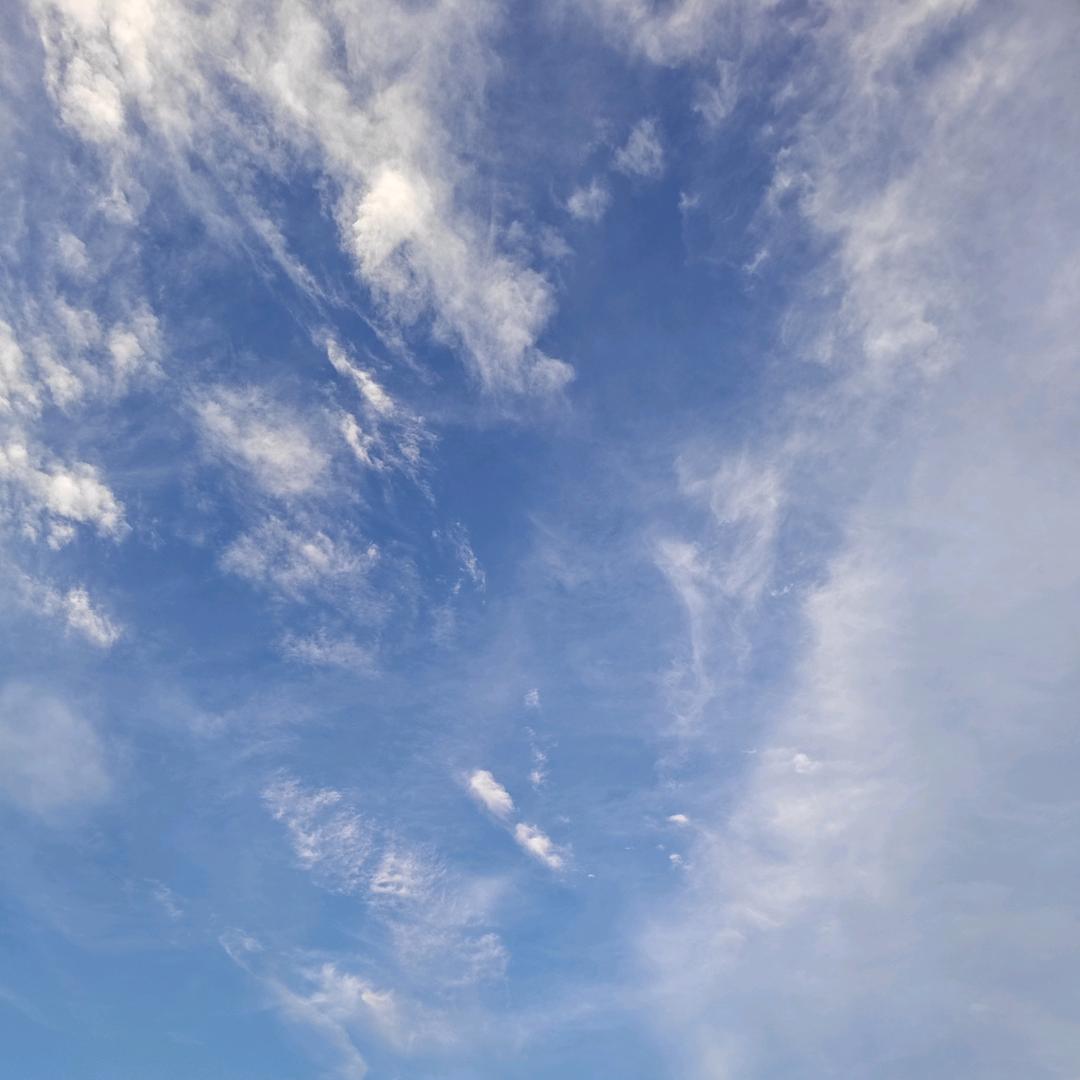 毒岛樱子