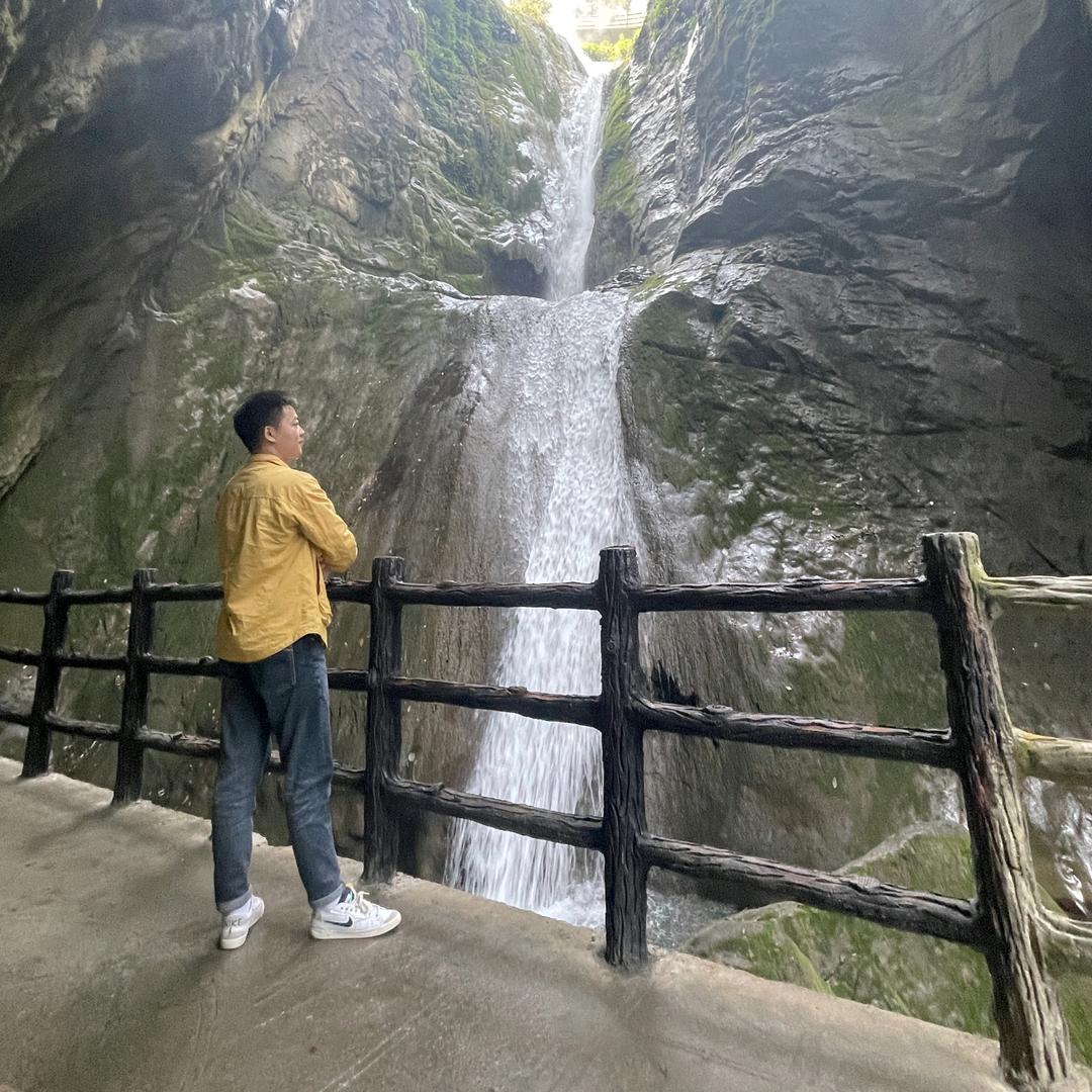 小白杨