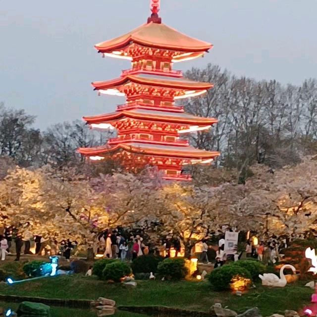 🦋💕᭄ꦿ微笑吧ོ࿆好运会陪着你᭄ོ?