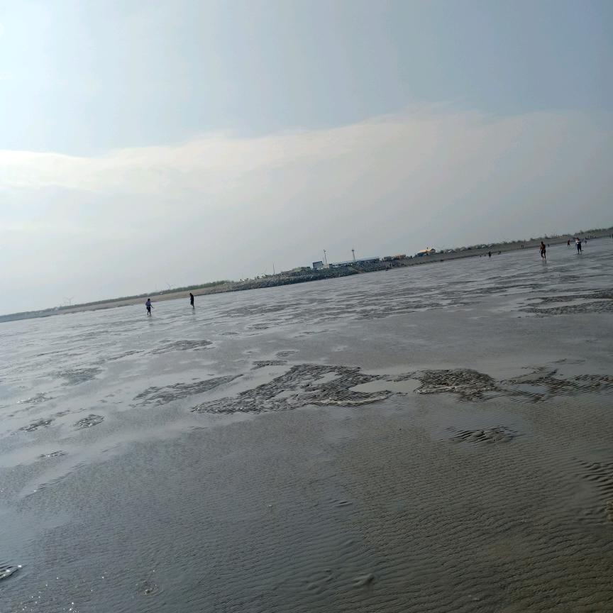 静沐暖阳