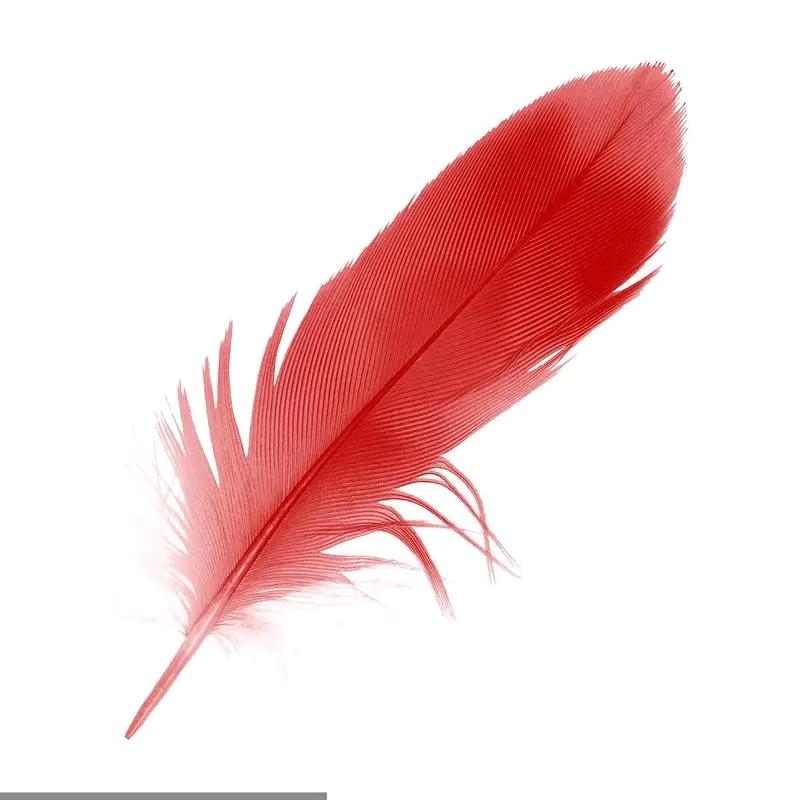 红羽毛