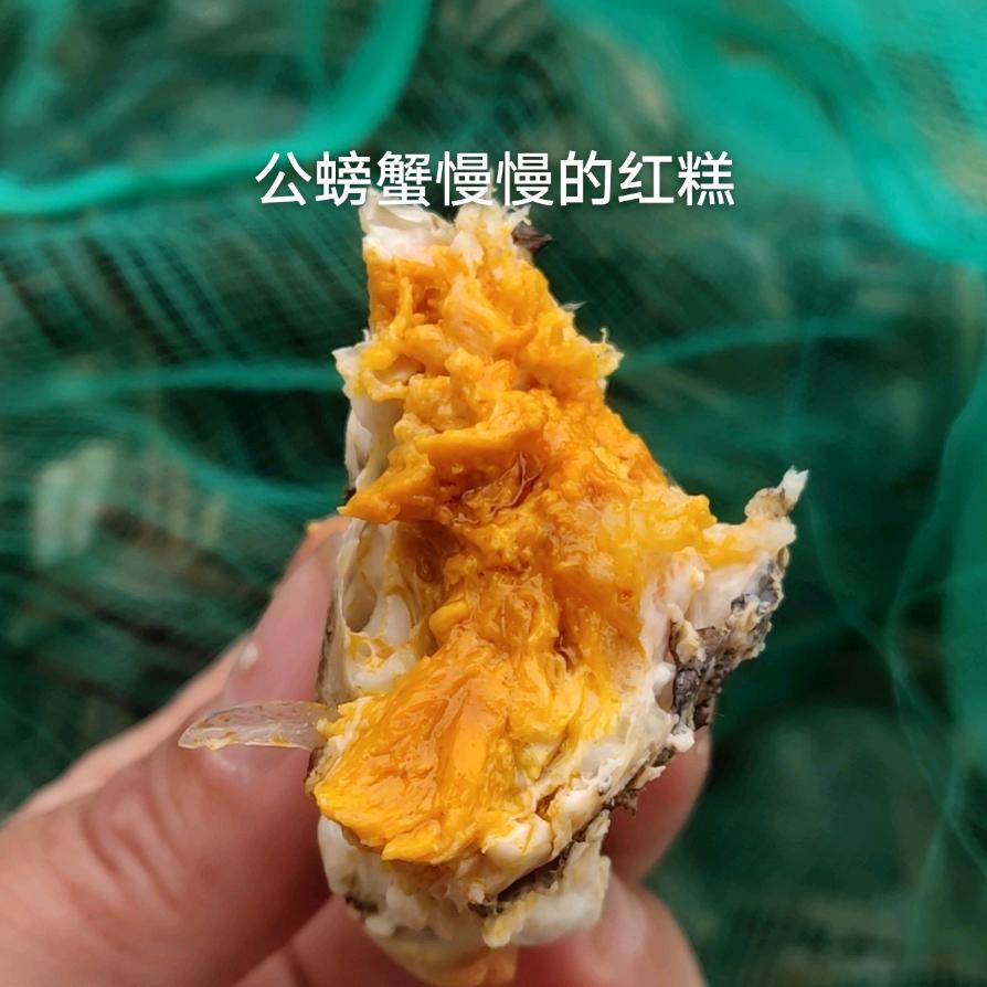大傻子