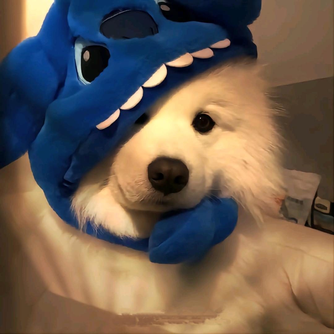 ꧁华꧂
