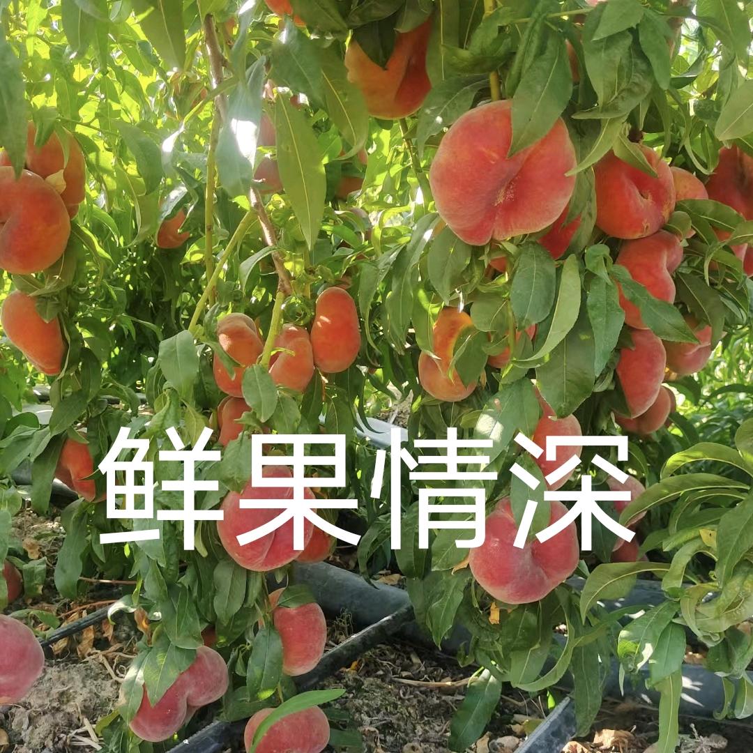 鲜果情深
