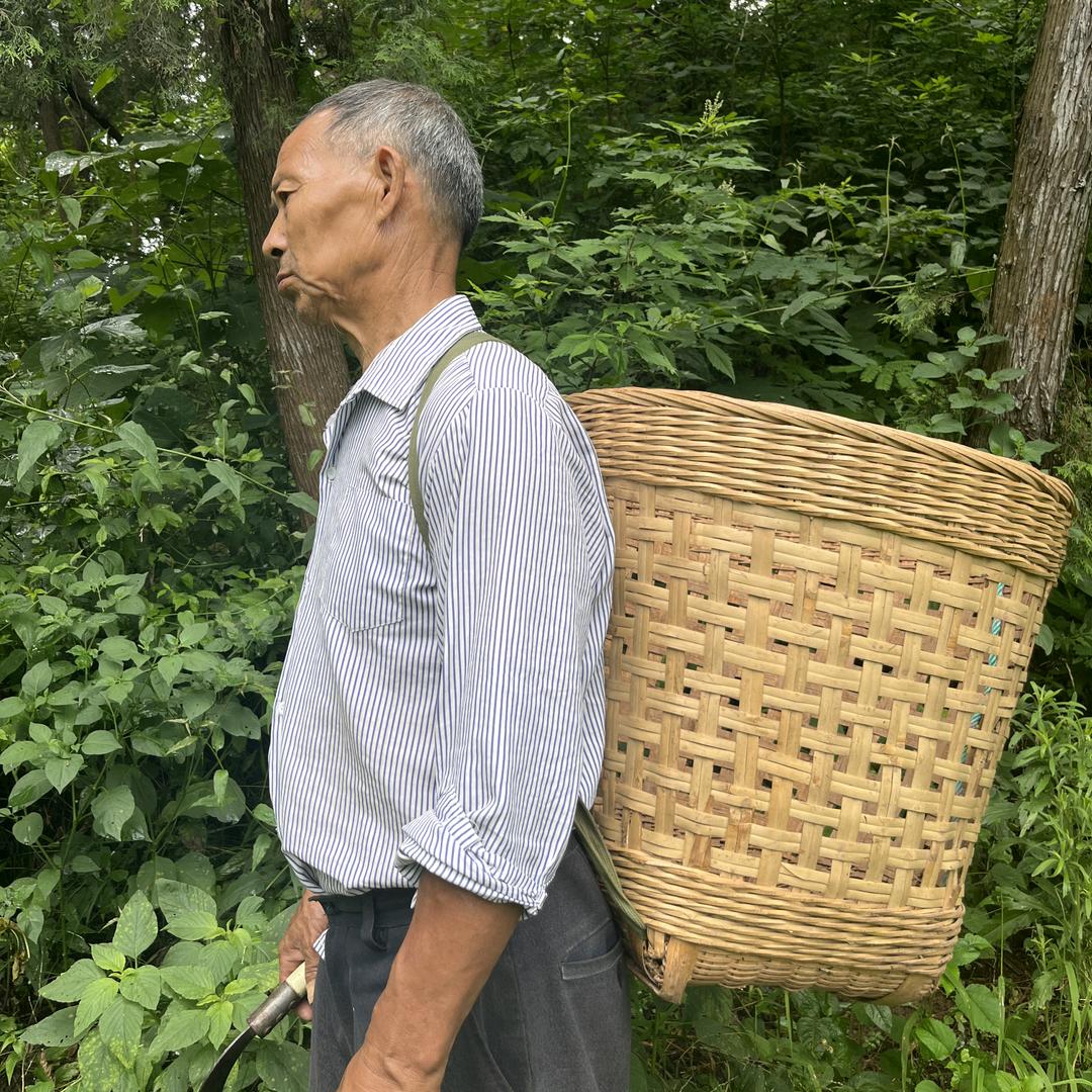 坤哥百草传承