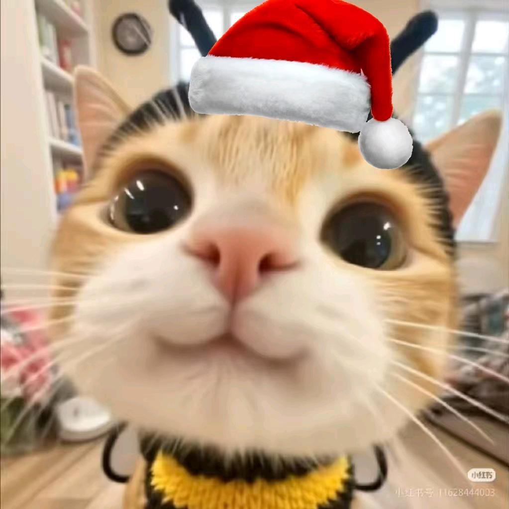 郭老师_荆门市小初高全科补习