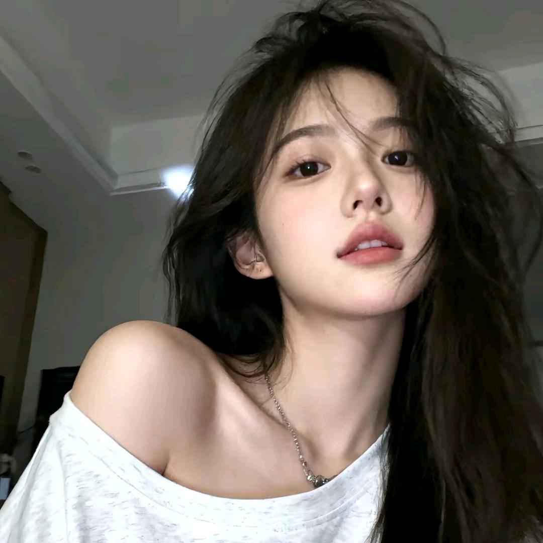 绵羊🐑