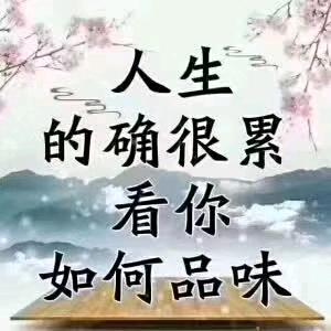 傻子的真诚