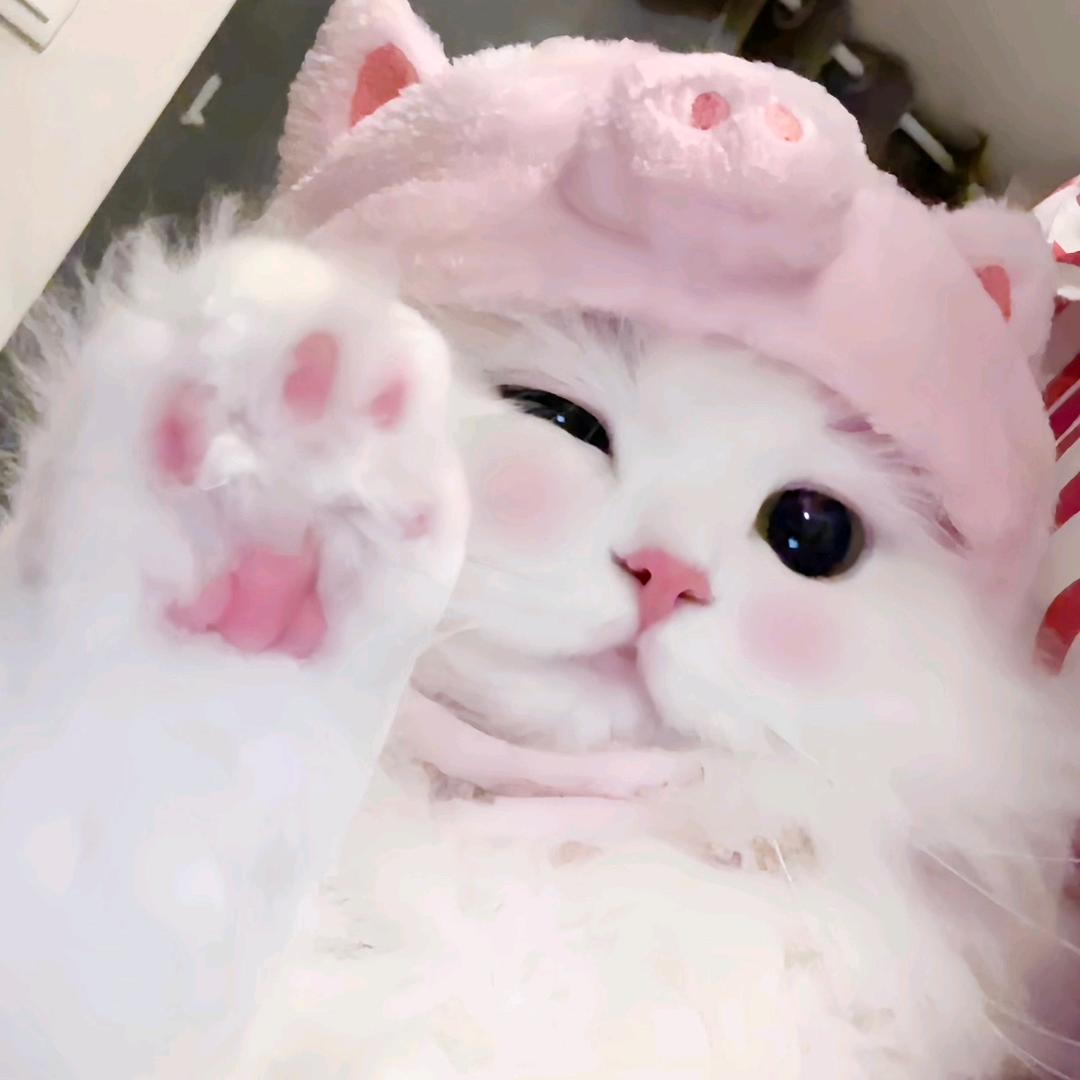 小熊软糖