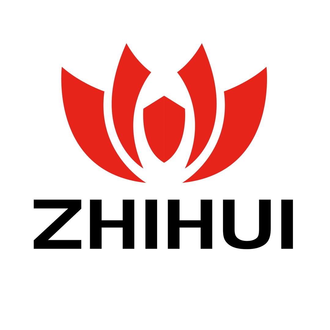 武汉智慧光网科技有限公司