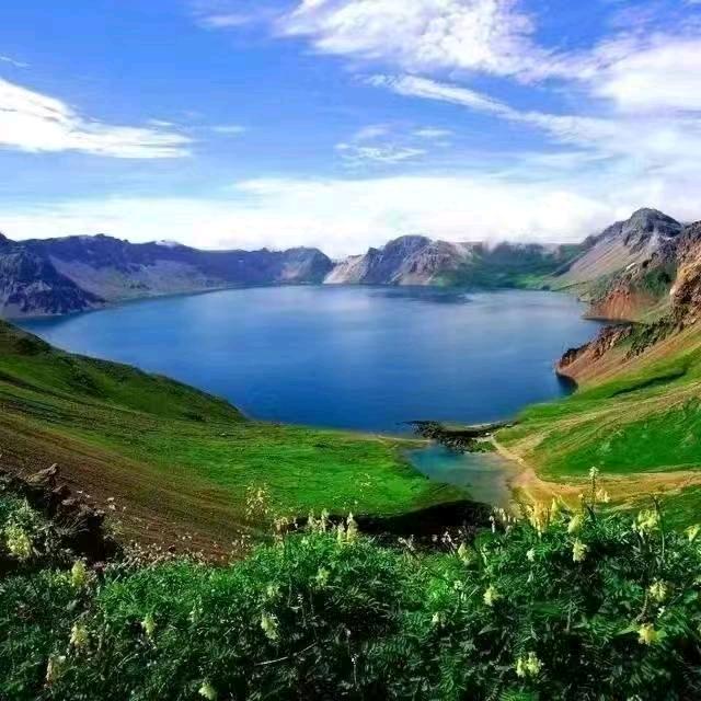 子鱼