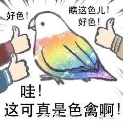 不行了丶就赶紧报警吧！