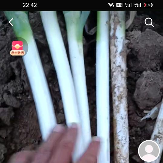 a小葱拌豆腐