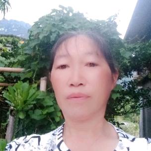 张万年