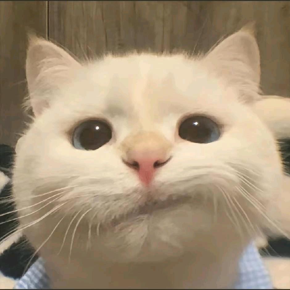太子狸