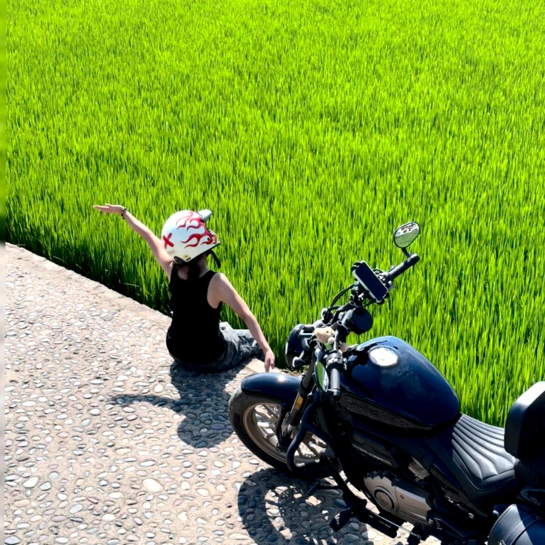 摆烂的小cu
