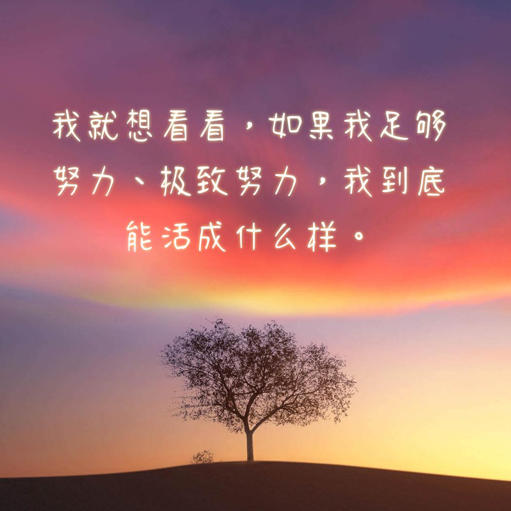 生活该有的样子
