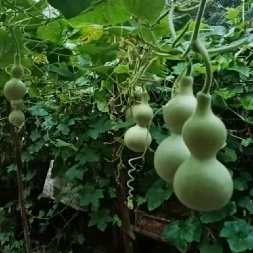 希望每天会更好 知足者常乐