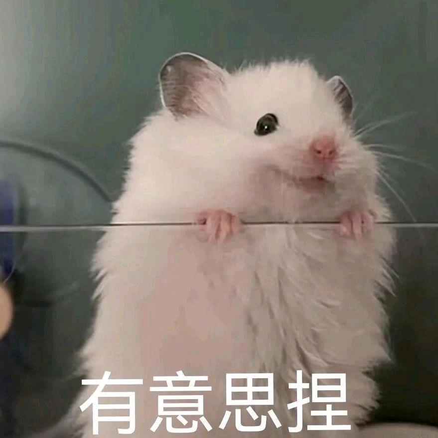 我是一只性感小腋毛༽