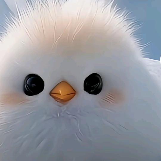 清风哥哥