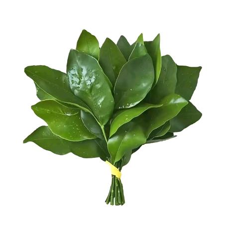 七十二時.