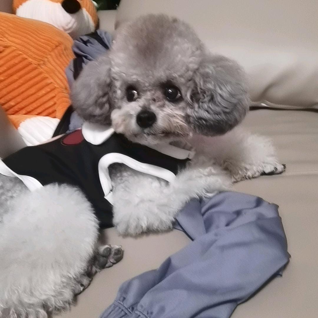 ╰ 佛曰不可说®