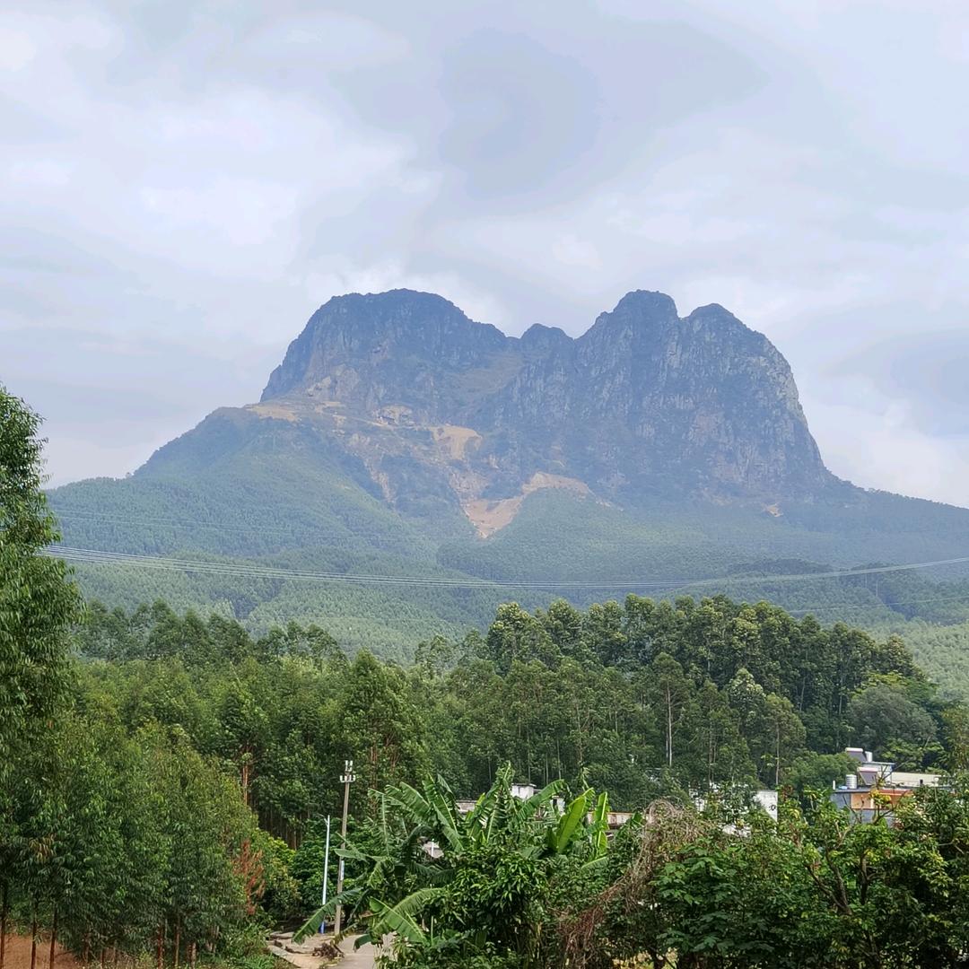 ღ᭄🦋꧔ꦿ᭄💞