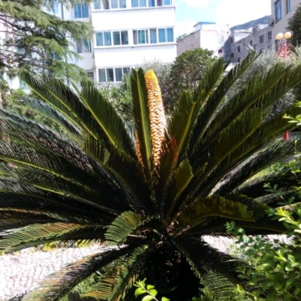 人的命天注定，