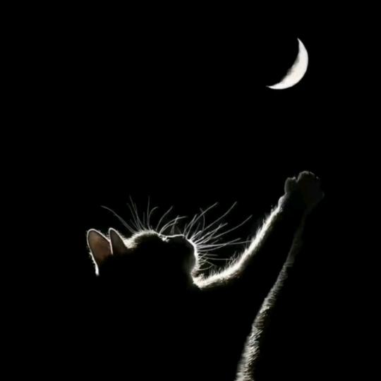 户外野钓鱼乐圈