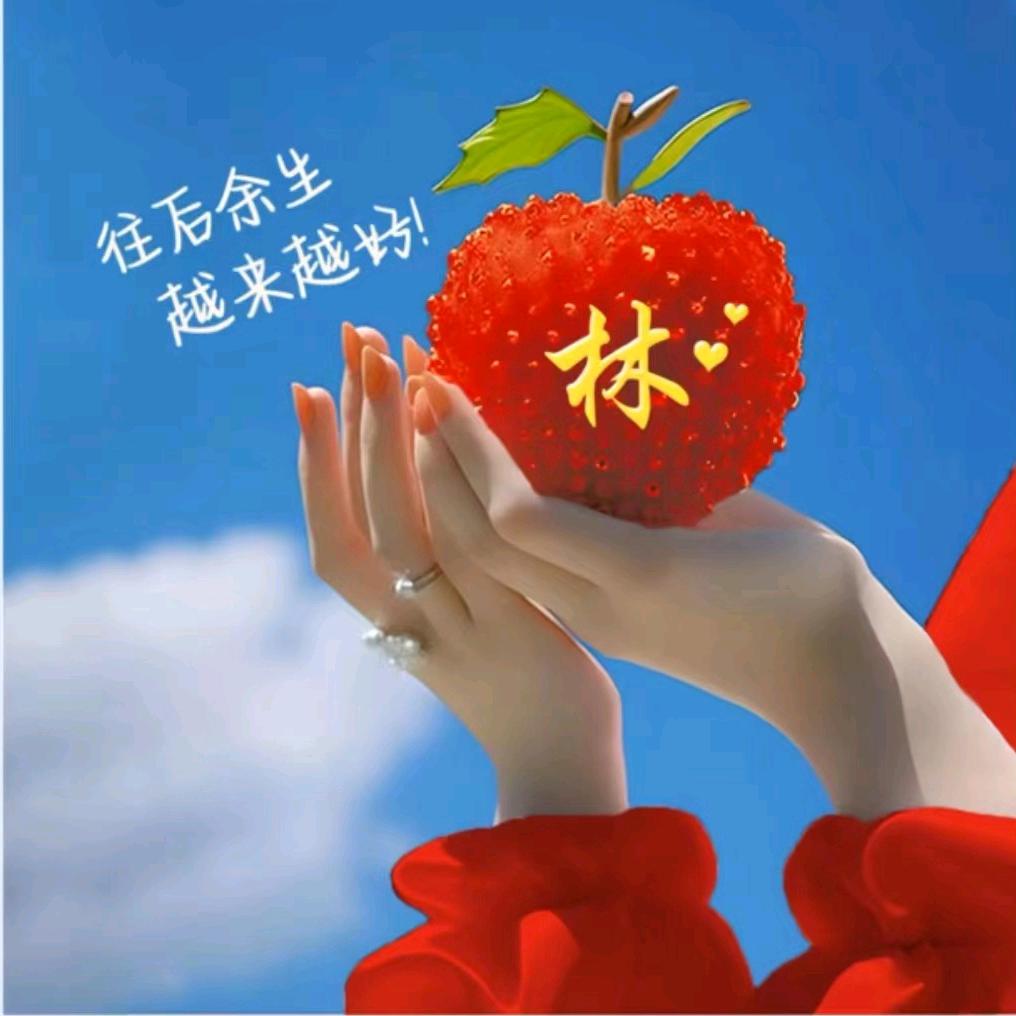 刘六哥