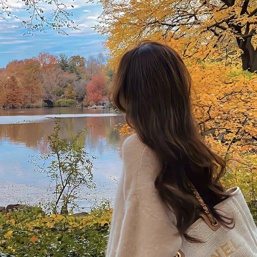 悦洋雅居好物联盟