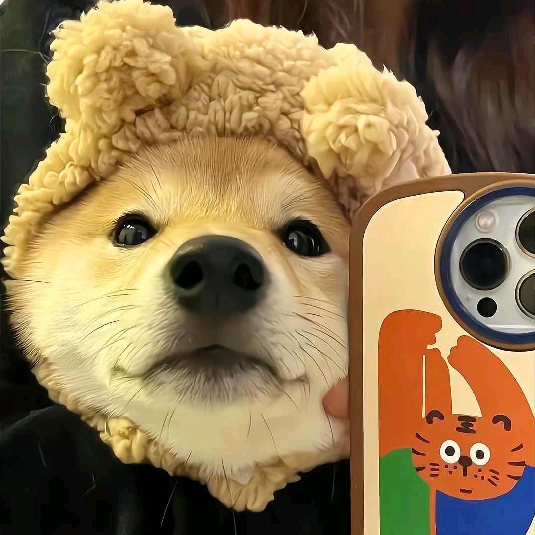 隔壁小张