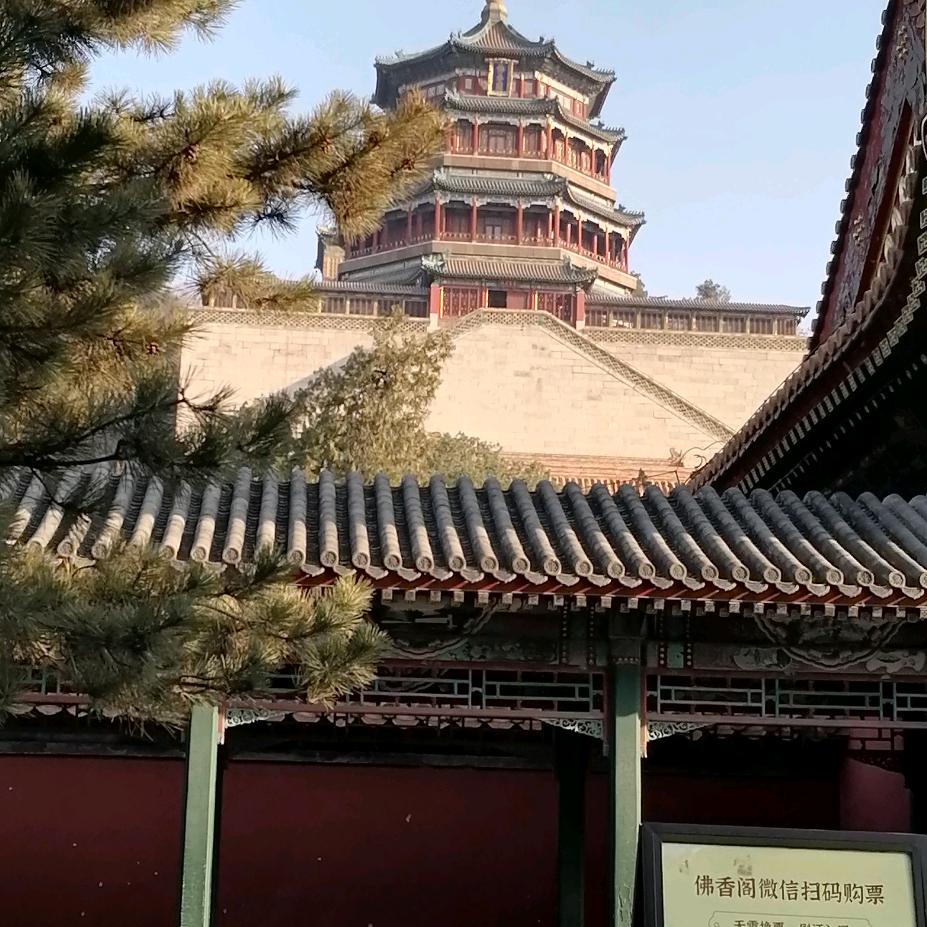 琴声悦耳