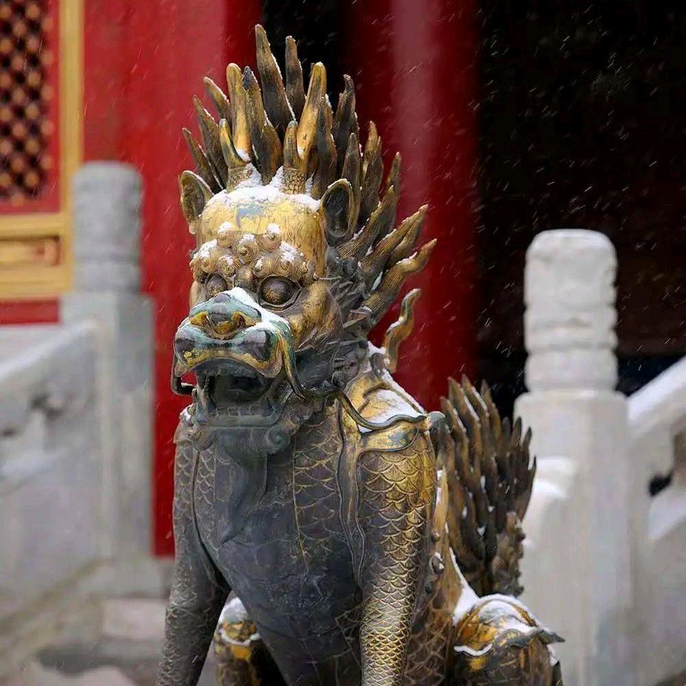髙兴