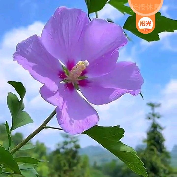 开心就好