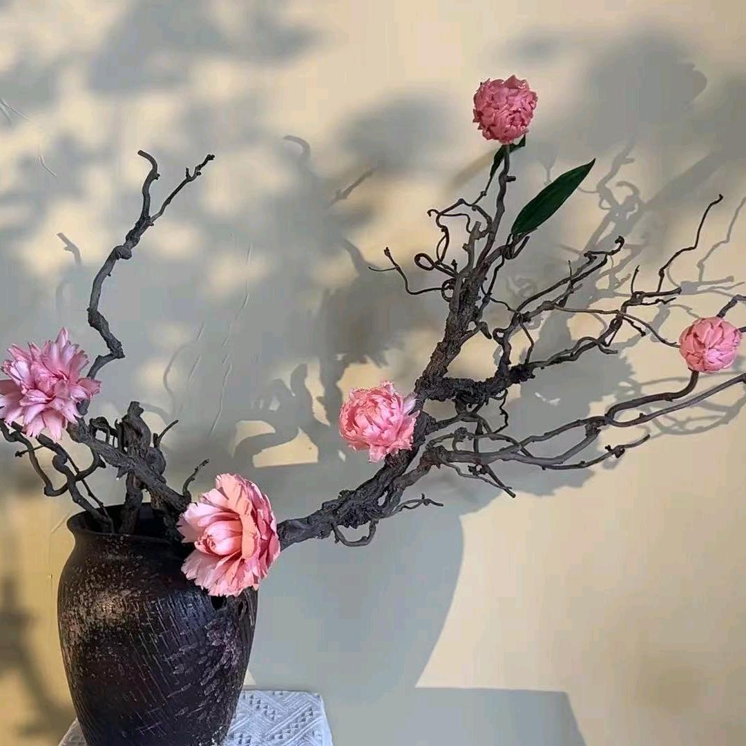 倾心干花