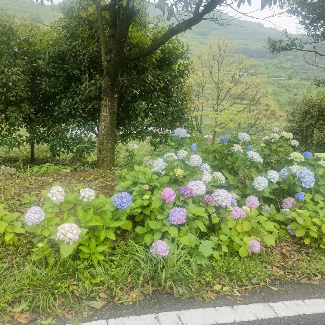 熙