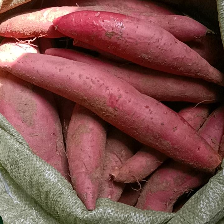 生活天天美好，身体天