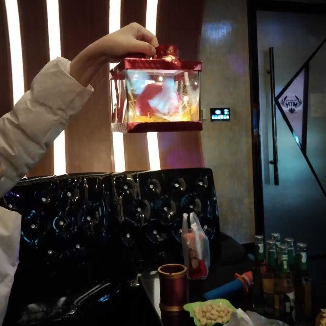 诞愿有你