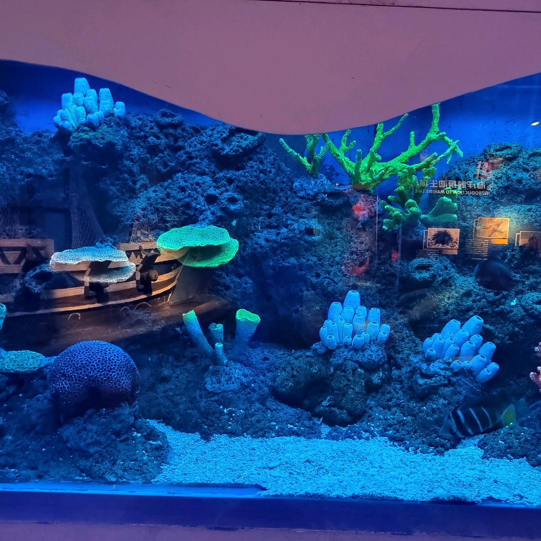 放手了，不再打扰